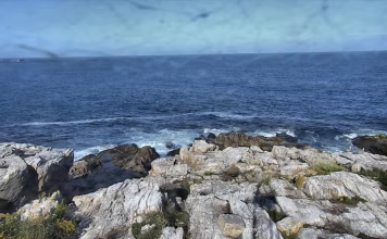 Duck Island Live Webcam - Frenchboro, Maine, Usa