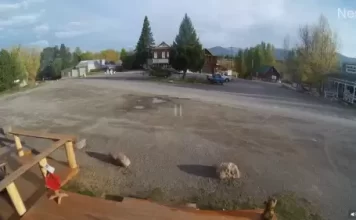 Ovando Town Square Live Webcam New In Montana, Usa