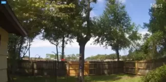 Orange Park Live Weather Cam In Florida, Usa