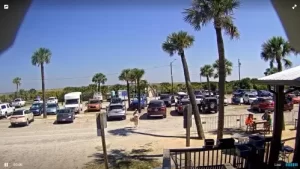 Tybee Island Beach Parking Lot Live Webcam New In Georgia, Usa