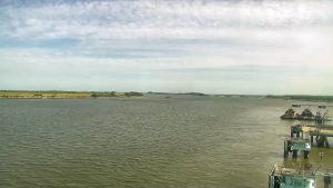 Elba Island Live Webcam - Savannah, Georgia