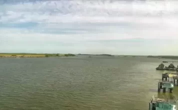 Elba Island Live Webcam New In Savannah, Georgia