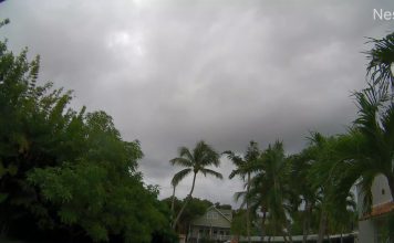 Beach House Key West, Florida Live Stream Webcam