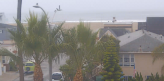 Newport Beach, California Webcam Bay Shores Peninsula Hotel