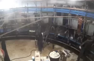 Cow Milking Rotary Parlors Live Webcam Dairy Farmers