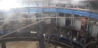 Cow Milking Rotary Parlors Live Webcam Dairy Farmers