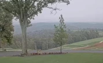 The Pete Dye Course At French Lick Resort Live Webcam New
