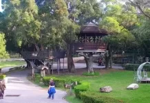 Hutoushan Park Live Webcam New Taoyuan City, Taiwan