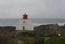 Amphitrite Point Lighthouse Live Webcam New B.c., Canada