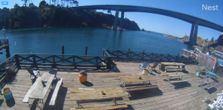 Noyo Harbor Live Webcam - Fort Bragg, California