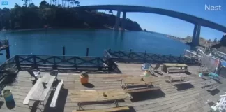 Noyo Harbor Live Webcam New In Fort Bragg, California