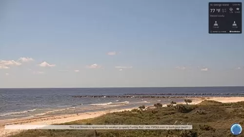 Live Webcam Turtley Rad Cut St George Island, FL