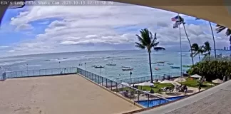 Honolulu Beach Live Webcam New In Hawaii, Usa