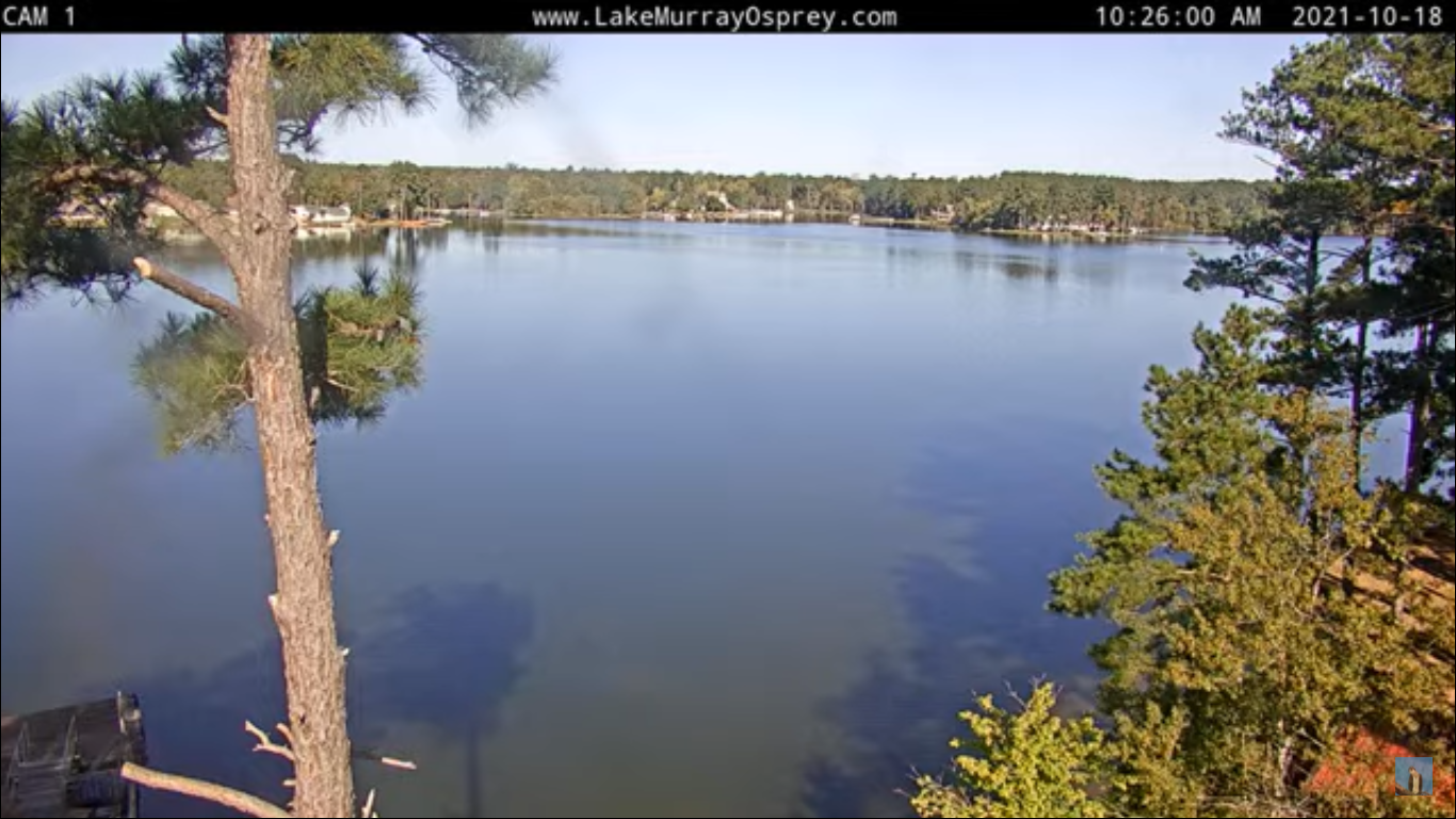 Lake Murray Overhead Live Video View – Columbia, SC