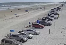 New Smyrna Beach Live Webcam Fl, Usa