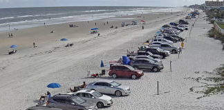 New Smyrna Beach Live Webcam Fl, Usa | Video