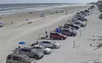 New Smyrna Beach Live Webcam Fl, Usa