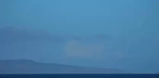 Ultimate Whale Watch Live Webcam Lahaina, Hawaii