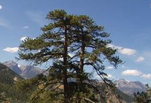 Webcam Rocky Mountain National Park – Estes Park, CO Rocky Mountain National Park Live Webcam Estes Park, Co