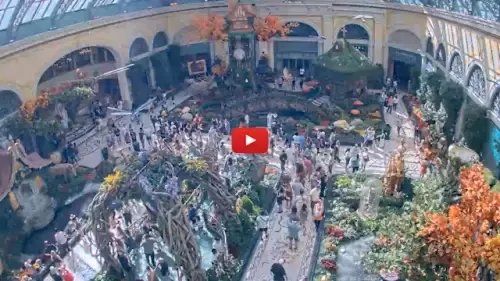 Bellagio Hotel Live Webcam Las Vegas