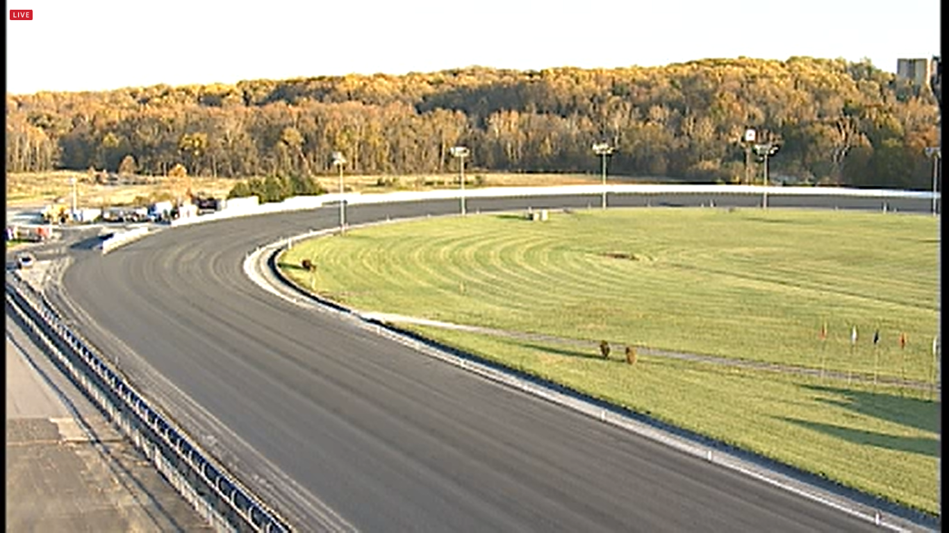 Live Webcam Rosecroft Raceway – Fort Washington, MD
