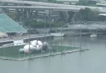 Giant Kaws Marina Bay Webcam New In Singapore