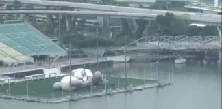 Giant Kaws Marina Bay Webcam New In Singapore