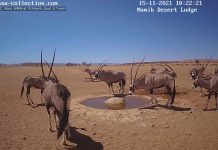 Namib Desert Live Webcam Namibia, South Africa