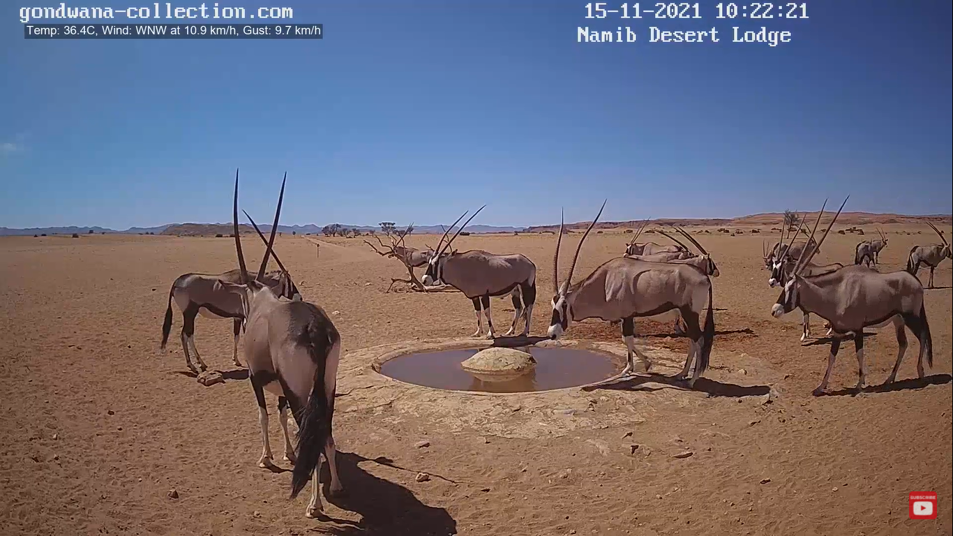 Namib Desert Live Webcam Namibia, South Africa