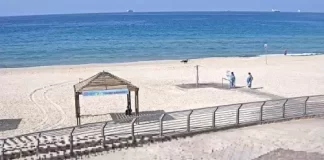 Beach Shimshon Sheva Webcam Israel New