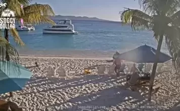 Soggy Dollar Webcam Bar In British Virgin Islands