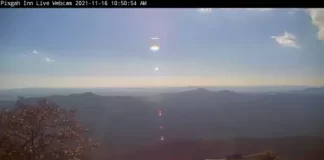 Pisgah National Forest Live Cam