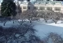 University Of Washington The Quad Live Webcam