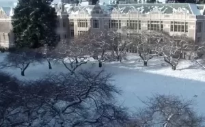 University Of Washington The Quad Live Webcam