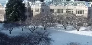 University Of Washington The Quad Live Webcam