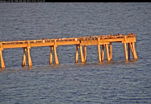 Navarre Beach Webcam - Pensacola Beach, Florida