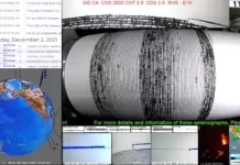 Live California Earthquake Seismograph New