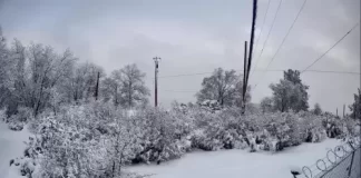 Phoenix Reservoir Live Webcam Cedar Ridge, Ca