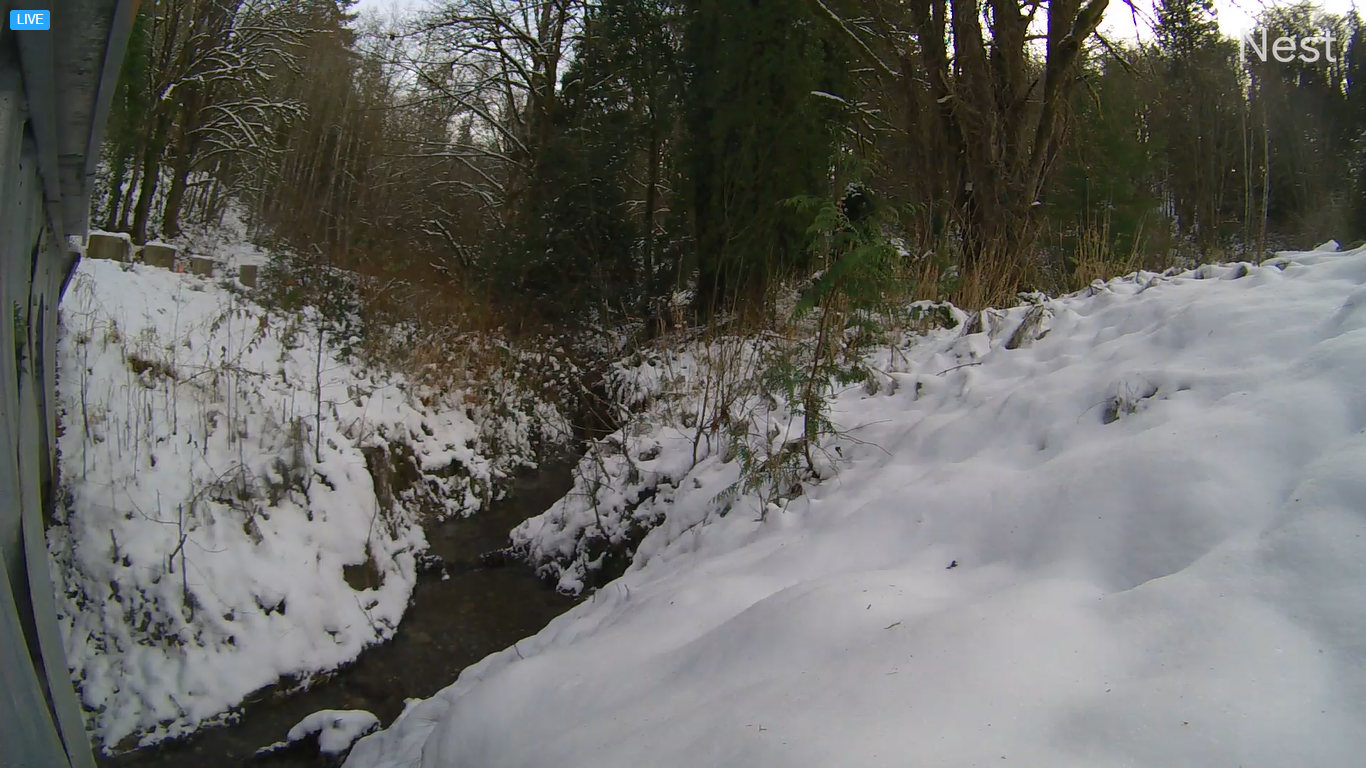 Port Orchard, Washington Live Webcam at Creek