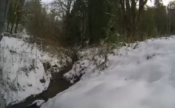 Port Orchard, Washington Live Webcam At Creek