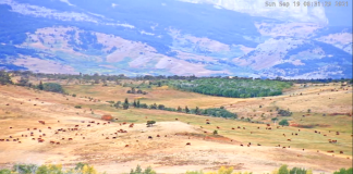 Montana Webcams Live Streaming In Hd