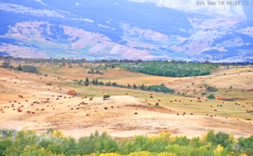 Montana Webcams Live Streaming In Hd