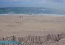 The Hamptons, Ny Live Webcams