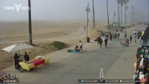 California Live Webcams – The Golden State