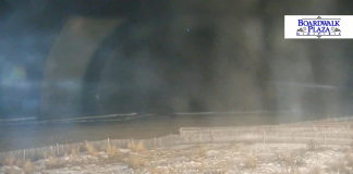 Delaware Live Webcams