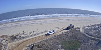 Maryland Live Webcams - Free State