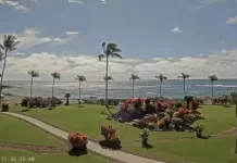 Koloa Hawaii Webcam