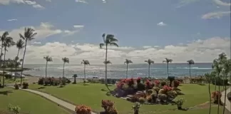 Koloa Hawaii Webcam