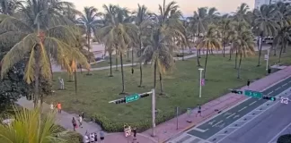 Miami Webcam