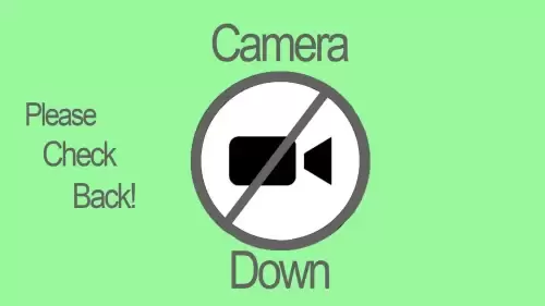 Camera Down